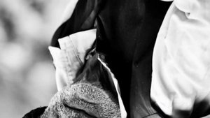 Типичный кель | 30 фактов о келе