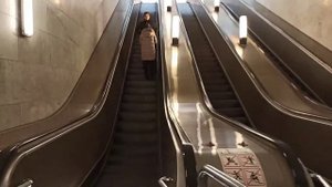 Станция " Ботанический Сад" Калужско-Рижской линии Московского метро. 11.03.22