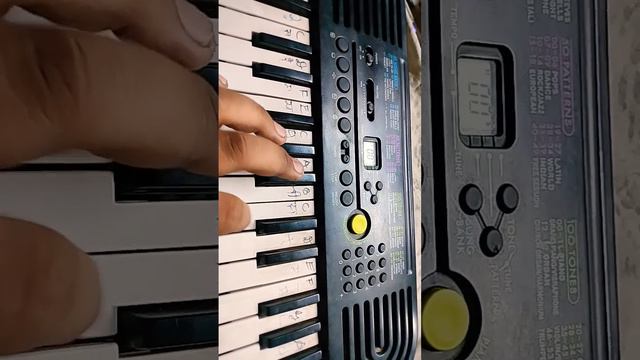 Oo Antava song on Casio sa 47#casio# Casio junction #pushpamovie