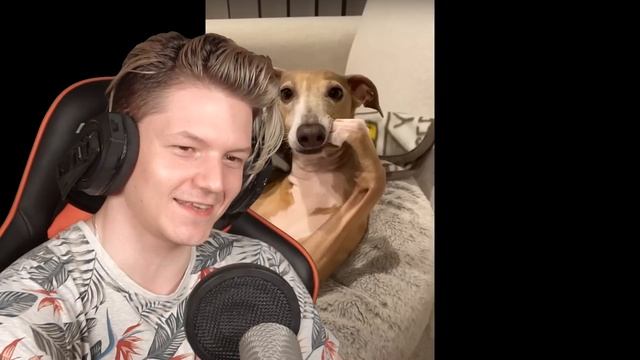 САМЫЕ *НЕОБЫЧНЫЕ* МЕМЫ