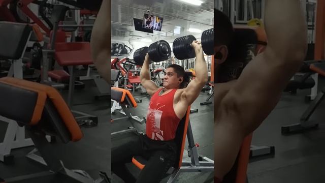 Жим гантелей сидя | Seated dumbbell press смотреть онлайн
