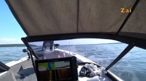 Ловля пассивного СУДАКА. Тест нового BIXOD E2.