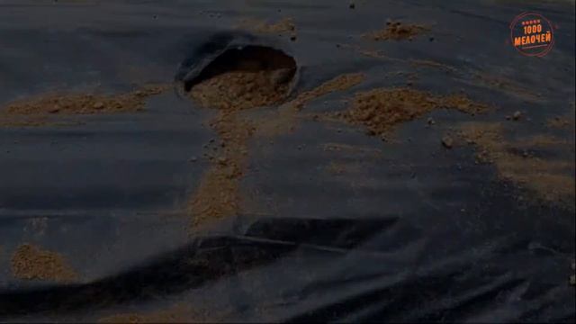 Как вырастить картофель без прополки и окучивания.