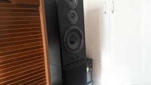 Pioneer CS 5070