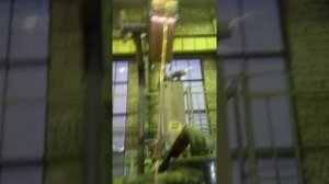 автоматическая сварка под слоем флюса , установка ESAB