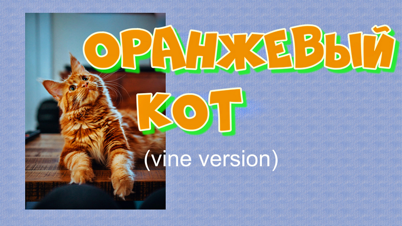 рыжие породы кошек. оранжевый кот слушать. оранжевый кот слушать. стих про оранжевого кота. по мосту идет оранжевый кот.