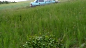 Заготовка берёзовых веников...