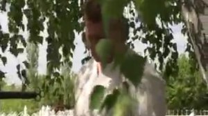 Ветераны ВОВ в р.п. Елань - Коленовский