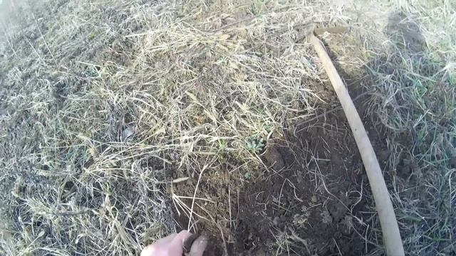 Копать? Или не копать? смотреть онлайн