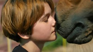 Мой любимый чемпион — Русский фрагмент (2024)