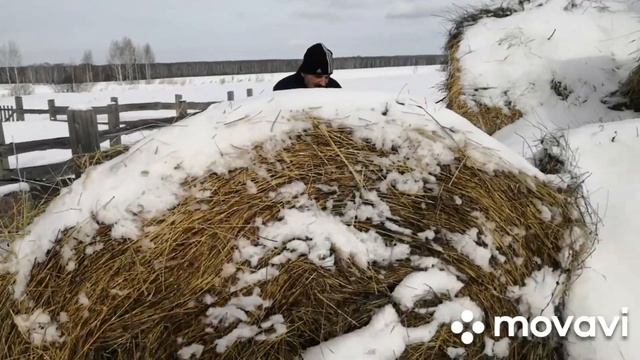 Стряпаю булочкиварю творогподнимаем сеноДеревенская суета.