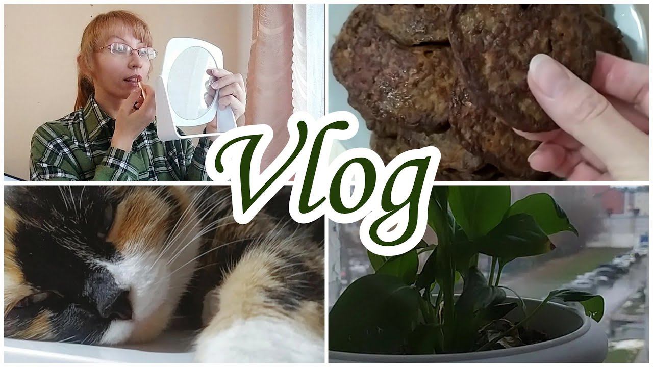 Влог 18.11.2023: дома на больничном со спиной новая помада чтобы порадовать себя смотреть онлайн