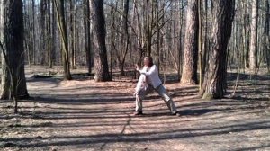 Тяньчжушаньский цигун. 28 созвездий