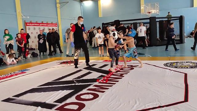 Dominator Extreme Fight 15 -21 смотреть онлайн