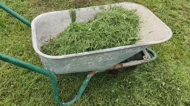 Не спешите выбрасывать скошенную ТРАВУ! Что делать со скошенной травой? смотреть онлайн