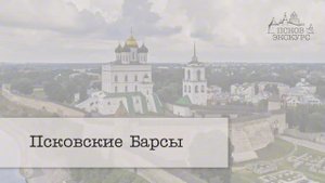 Псковские Барсы
