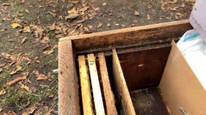 Слабі сім‘ї в зиму. Запасні матки на весну. Слабые семьи в зиму. Как сохранить маток до весны.