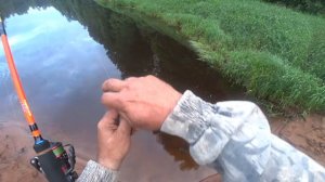 Ловим окуня на отводной поводок. Два выезда.