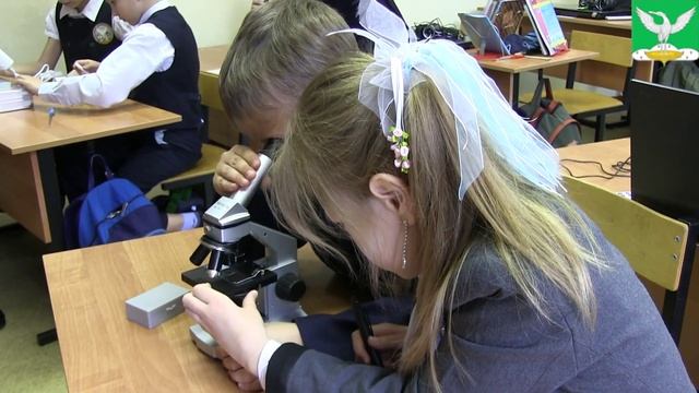 Учитель глазами учеников смотреть онлайн