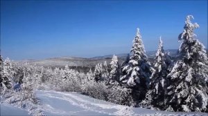 21 января – что нельзя делать в Емельянов день. Приметы и традиции.