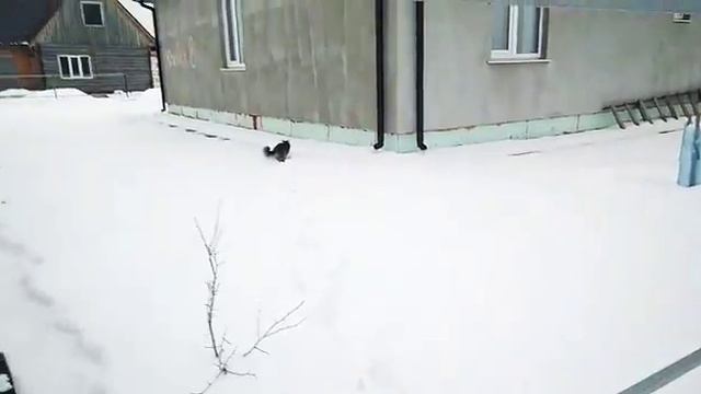 VIOG:найдите смайлик.Кто найдёт тому я передам приветик в следующем видео