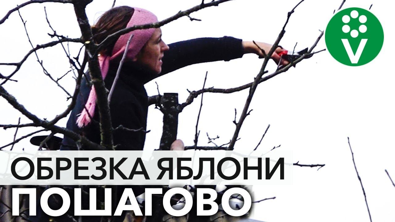Php обрезка изображения