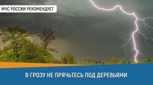 СОВЕТ ДНЯ_В грозу не прячьтесь под деревьями