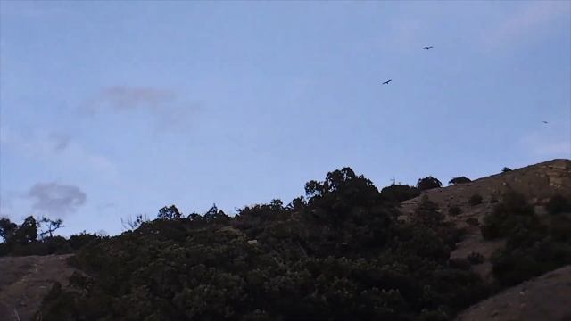 Море, горы, чайки. Февраль. Новый Свет. Крым. смотреть онлайн