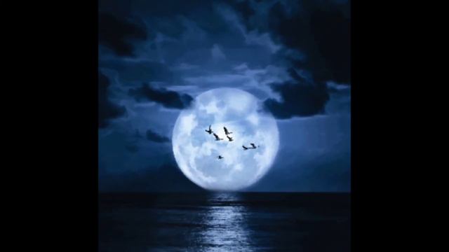 Hamali&Navai - Я весь мир обошёл. смотреть онлайн