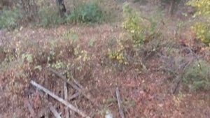 Заброшенный санаторий "Лесные поляны " под Полтавой.