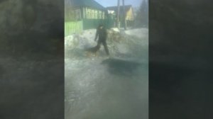 Собака кусает человека за штанину
