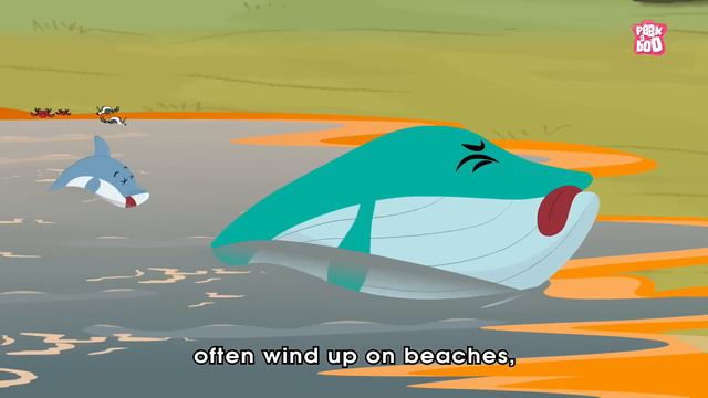 What is WATER POLLUTION? | What Causes Water Pollution? | The Dr Binocs Show | Peekaboo Kidz смотреть онлайн