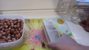 Фундук (приспособа для чистки ореха своими руками)