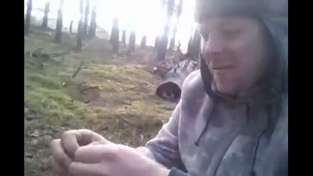 Лесная дорога. КОП. В поисках-47. смотреть онлайн