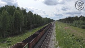 Пассажирские и грузовые поезда на перегоне Микунь - Вездино