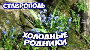 Холодные родники весной в Ставрополе. Ставрополь весной. Отдых в Ставрополе