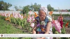Почему малина цветет и не плодоносит. 1000 Секретов получить хороший урожай малины.