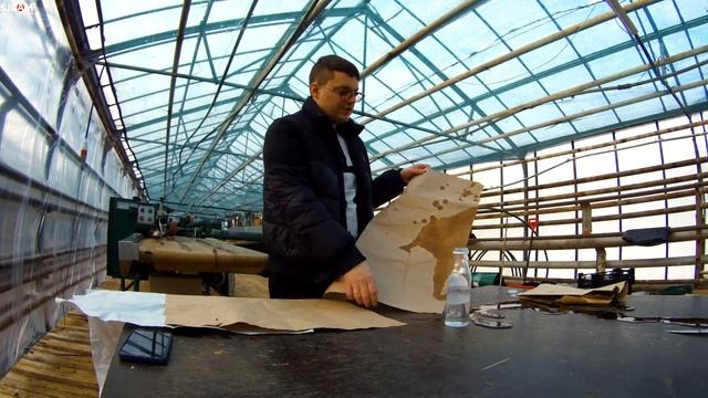 Обзор бумаги для тюльпанов. Выгонка 3 млн тюльпанов. Тюльпаны оптом к 8 марта. Бизнес на тюльпанах.