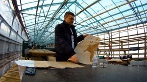 Обзор бумаги для тюльпанов. Выгонка 3 млн тюльпанов. Тюльпаны оптом к 8 марта. Бизнес на тюльпанах.