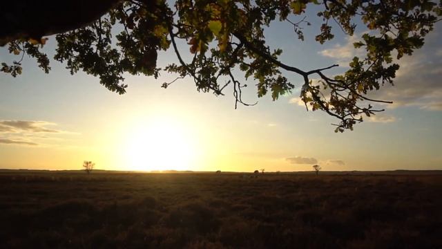 Parviz TURABI "Autumn dream" смотреть онлайн