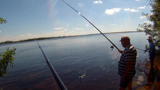 Ужи ... даже ловятся на удочку. смотреть онлайн