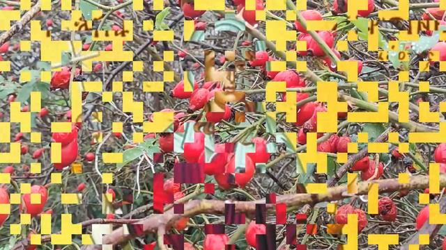 18 октября праздник День Харитины. Что можно и нельзя делать. Традиции. Именинники дня.