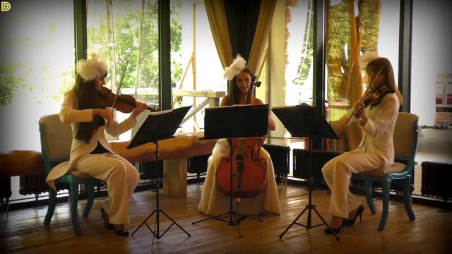 Музыка на встречу гостей - скрипки и виолончель Violin Group DOLLS смотреть онлайн