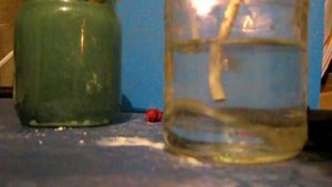 электролизер своими руками