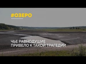 В Алтайском крае продолжается отработка версий по факту гибели рыбы на Озере Залесовского района