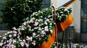 Идеи как украсить двор и клумбы с цветами