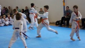 Аттестация на цветные пояса по Тхэквондо ВТФ