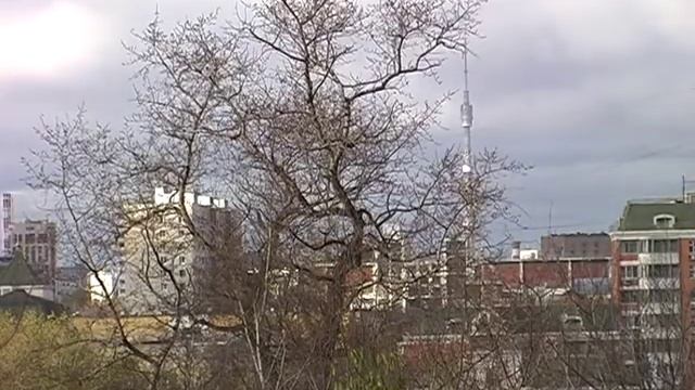 евгений лесин. новая москва.