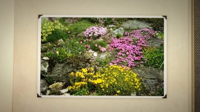 Камни для альпинария