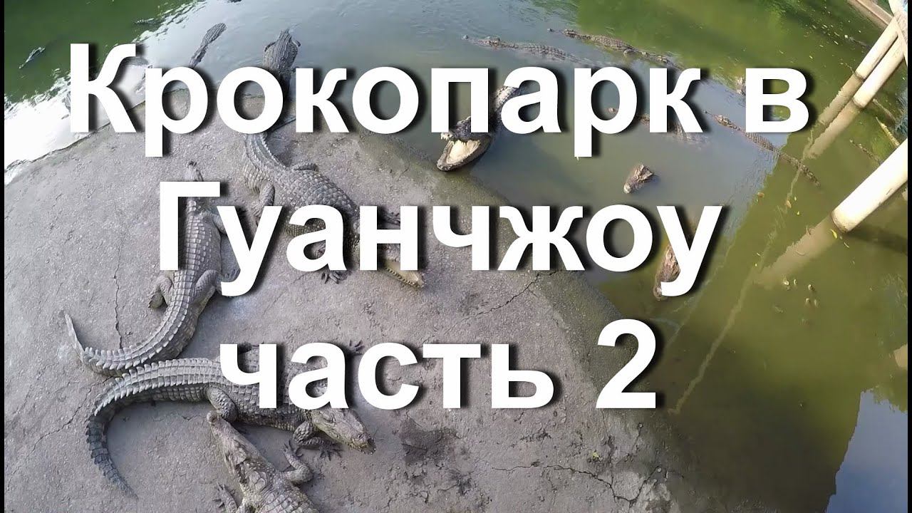 Крокопарк в Гуанчжоу. Crocopark Guangzhou. Часть 2.